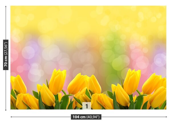 Fototapeta Vliesová Žlté tulipány 104x70 cm