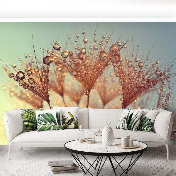 Fototapeta Vliesová Rosa púpava 104x70 cm
