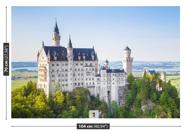 Fototapeta Vliesová Neuschwanstein 104x70 cm