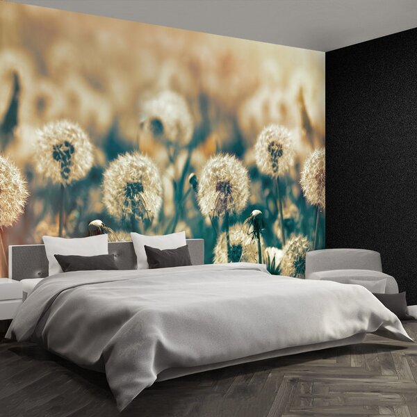 Fototapeta Vliesová Púpava lúka 104x70 cm