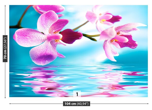 Fototapeta Vliesová Voda orchidea 104x70 cm