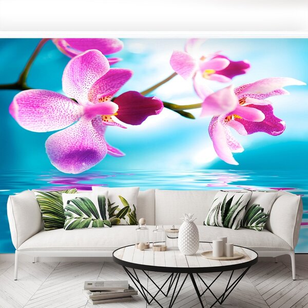 Fototapeta Vliesová Voda orchidea 104x70 cm