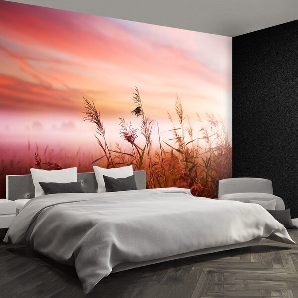 Fototapeta Vliesová Ranná hmla 104x70 cm