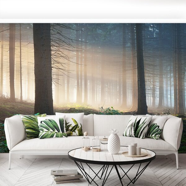 Fototapeta Vliesová Slnečné lúče 104x70 cm