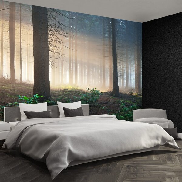 Fototapeta Vliesová Slnečné lúče 104x70 cm