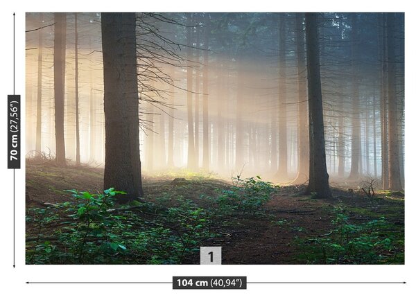 Fototapeta Vliesová Slnečné lúče 104x70 cm