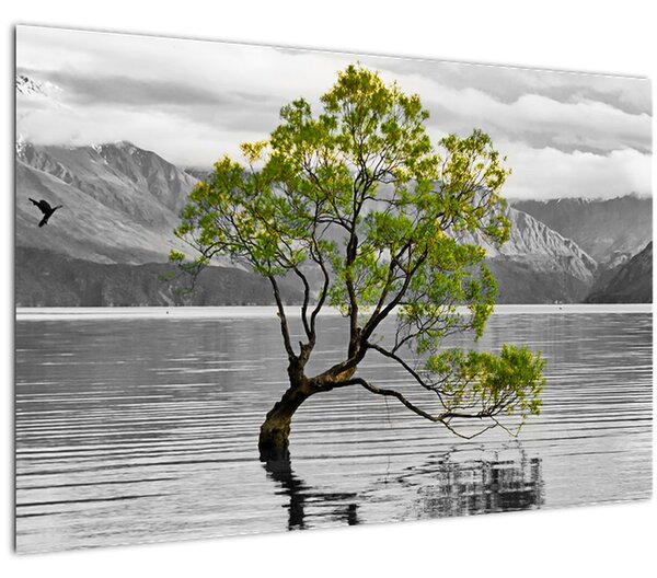Obraz stromu uprostred jazera (90x60 cm)