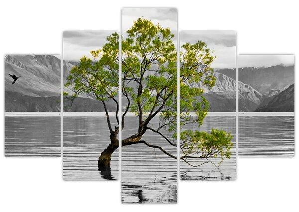 Obraz stromu uprostred jazera (150x105 cm)