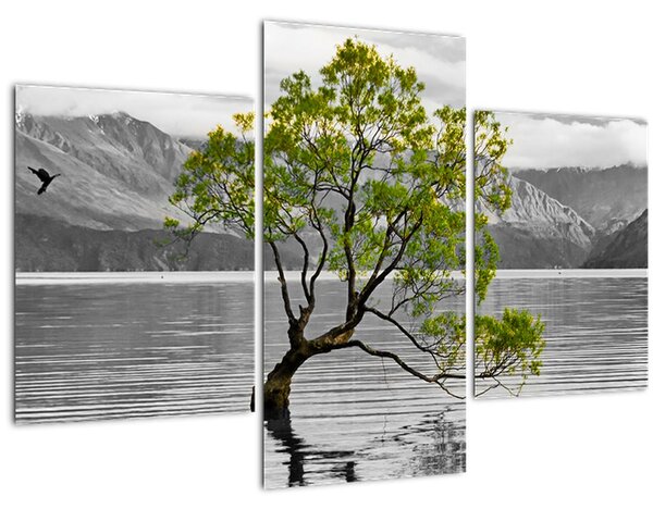 Obraz stromu uprostred jazera (90x60 cm)