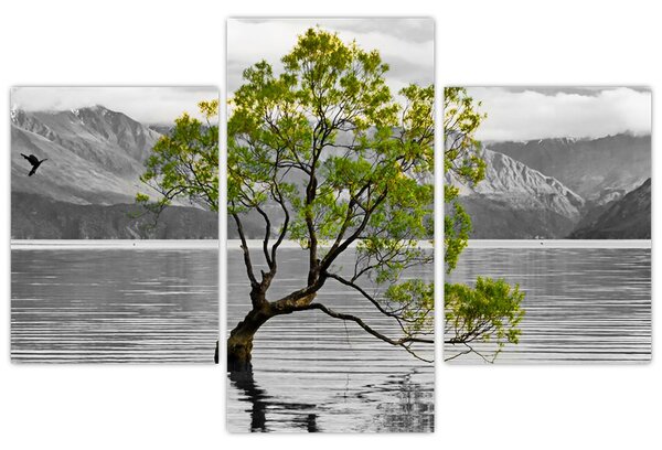 Obraz stromu uprostred jazera (90x60 cm)