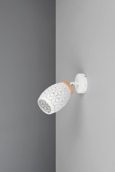 TRIO Reality R81571731 BIDAR nástenné bodové svietidlo/spot s vypínačom 1xE14 biela matná