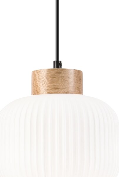 Luster na lanku HARMONY 1xE27/15W/230V pr. 20 cm biela/dub