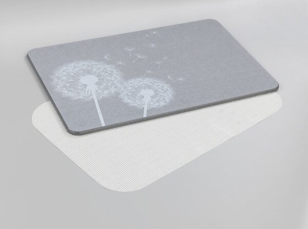 Sivá kúpeľňová predložka z kremeliny 39x60 cm Astera – Wenko