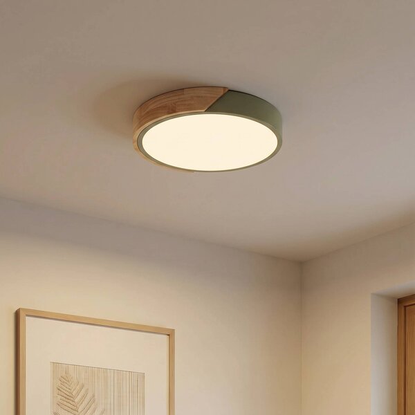 PRIOS Stropné LED svetlo Lynorri, Ø 32 cm, zelené, drevený dekor, Zelená, Obývacia izba / jedáleň, Plast, Moderný, Závesné svietidlo