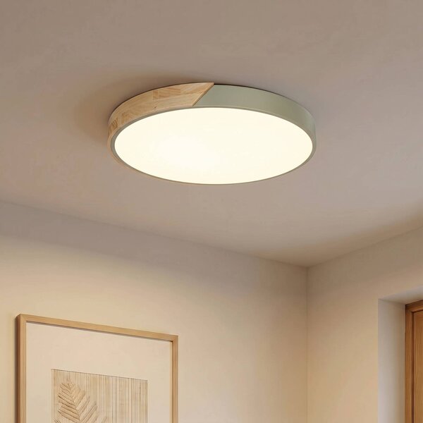 PRIOS Stropné LED svetlo Lynorri, Ø 52 cm, zelené, drevený dekor, Zelená, Obývacia izba / jedáleň, Plast, Moderný, Závesné svietidlo