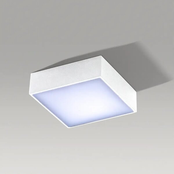LED bodové svetlo Falco 12 3000K biele – Biela
