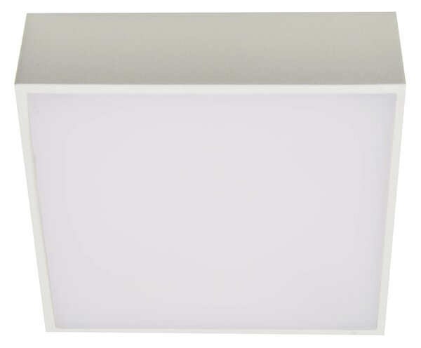 LED bodové svetlo Falco 12 3000K biele – Biela