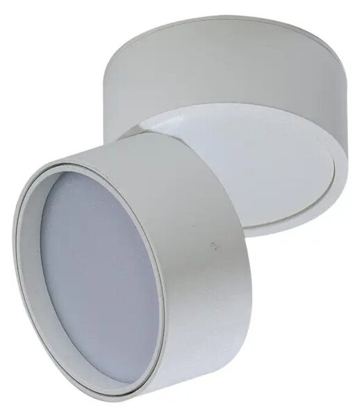 LED bodové svetlo Mona 12W 4000K biele – Biela