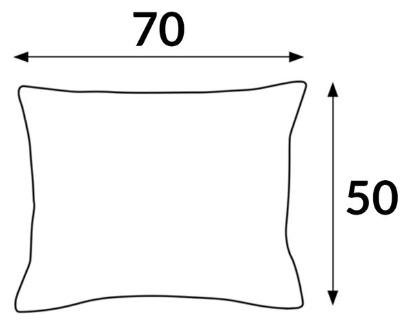 SATÉNOVÁ OBLIEČKA NA VANKÚŠ 50X70 CM BIELA