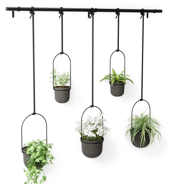 Plastové obaly na kvetináče v súprave 5 ks na bylinky/závesné a nástenné ø 7,5 cm Triflora – Umbra