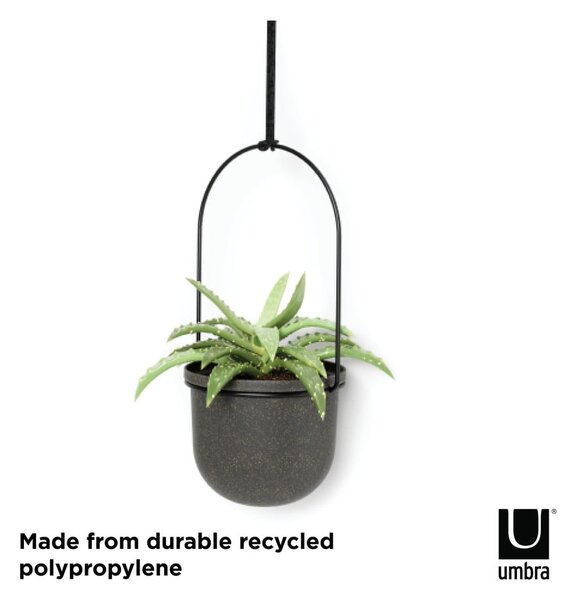Plastové obaly na kvetináče v súprave 5 ks na bylinky/závesné a nástenné ø 7,5 cm Triflora – Umbra