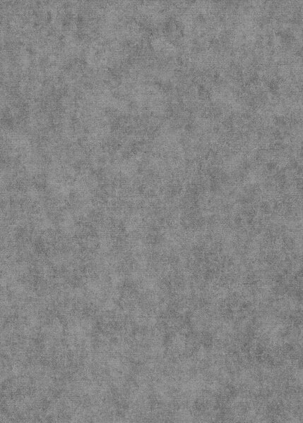 DIMEX | Vliesová tapeta na stenu 1047329V | 0,53 x 10,05 m | šedá, metalická