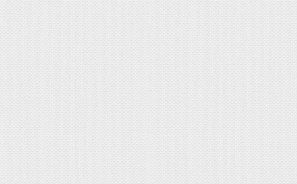 DIMEX | Vliesová tapeta na stenu WPE-901032 | 1 x 25 m | biela
