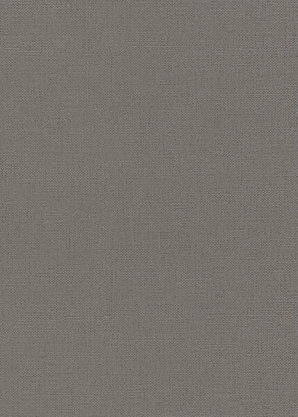 DIMEX | Vliesová tapeta na stenu WPE-902295 | 0,53 x 10,05 m | šedá