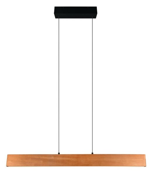 Trio 359710130 LED závesné stropné svietidlo EDGEWOOD | 27W integrovaný LED zdroj | 3100lm | 2700-6000K | stmievač | na lanku | diaľkové ovládanie