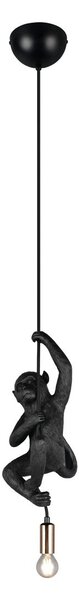 Trio R36551002 závesné stropné svietidlo FIPS | 10W E14