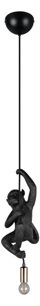 Trio R36551002 závesné stropné svietidlo FIPS | 10W E14