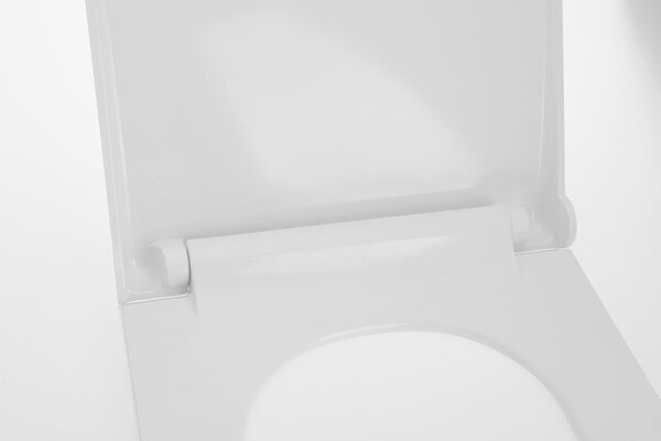 Sapho Sapho, AVVA Slim WC sedátko s pomalým zatváraním, biela/chróm, 100787