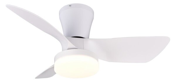 Trio R64412131 LED ventilátor s osvetlením RANDERS | 20W integrovaný LED zdroj | 2500lm | 2700-6000K | vypínač | stmievač | diaľkové ovládanie | ventilátor