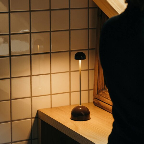 MARSET stolová LED lampa Sips, hnedá/zlatá, 31 cm, oceľ, Mosadz / zlato, kov, Dizajn, Stojacie svietidlo