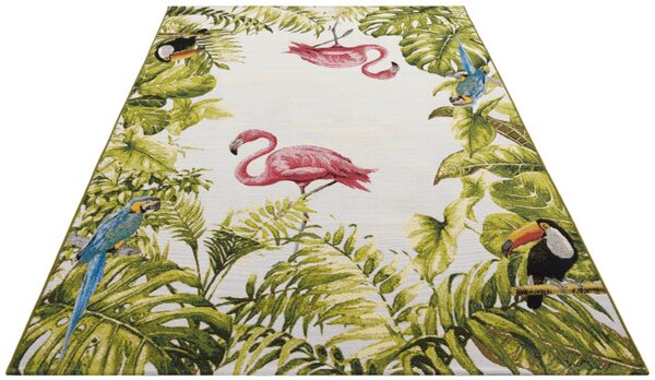 Koberec Hanse Home Flair Tropical Birds viacfarebný