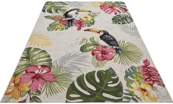 Koberec Hanse Home Flair Tropical Dream krémový / viacfarebný