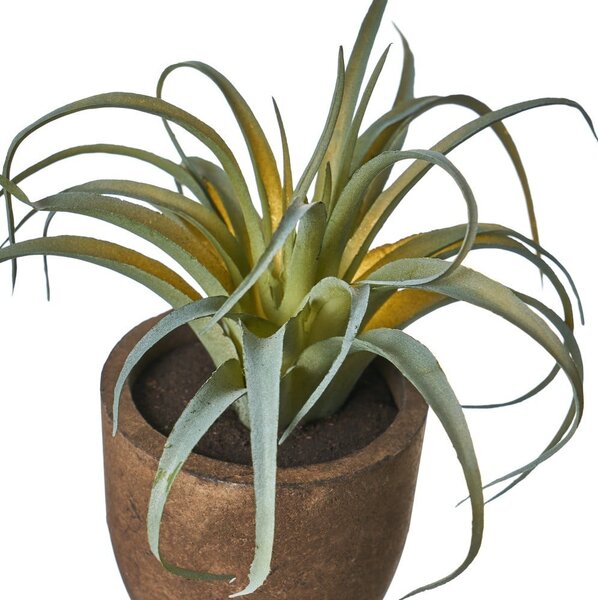 Umelé rastliny v súprave 4 ks (výška 10 cm) Cactus – Casa Selección