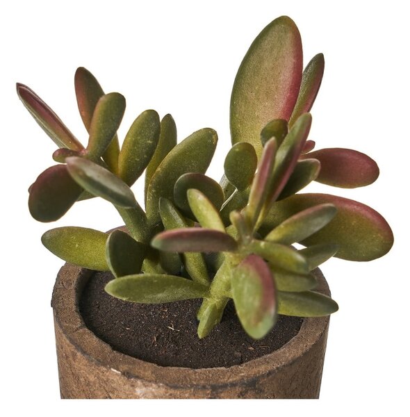 Umelé rastliny v súprave 4 ks (výška 10 cm) Cactus – Casa Selección