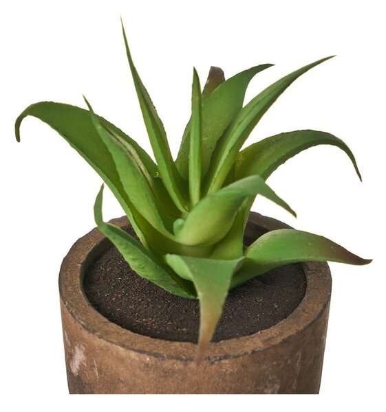 Umelé rastliny v súprave 4 ks (výška 10 cm) Cactus – Casa Selección