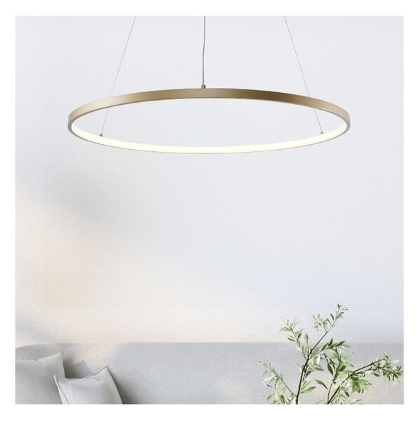 Zuma Line 2023201-GD60 - LED Luster na lanku BRENO LED/28W/230V 3000/4000/6000K