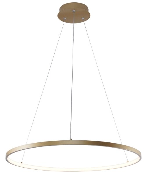 Zuma Line 2023201-GD60 - LED Luster na lanku BRENO LED/28W/230V 3000/4000/6000K