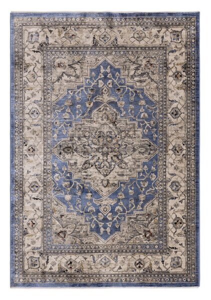 Modrý koberec 240x330 cm Sovereign – Asiatic Carpets