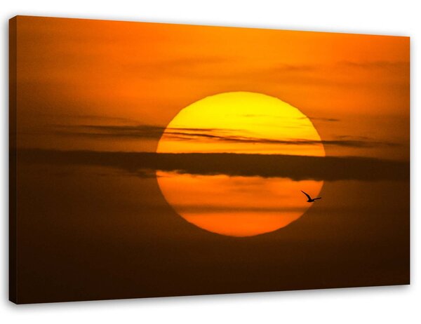 Obraz na plátne Západ slnka Rozmery: 60 x 40 cm