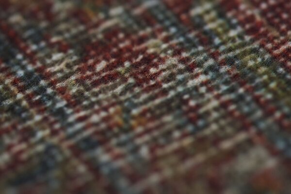 Koberec kusový Carpet Decor PETRA WINE Rozmer koberca: 160x230 cm