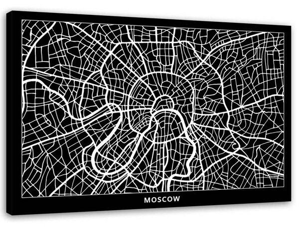 Obraz na plátne Plán mesta Moskva Rozmery: 60 x 40 cm