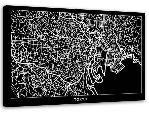 Obraz na plátne Plán mesta Tokio Rozmery: 60 x 40 cm