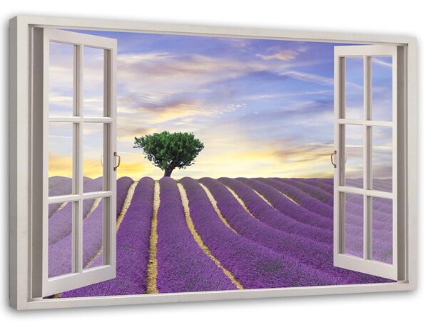 Obraz na plátne Okno - levanduľové pole Rozmery: 60 x 40 cm