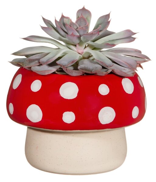 Kameninový kvetináč ø 12 cm - Sass & Belle