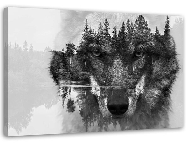 Obraz na plátne Čierny vlk na pozadí lesa a jazera abstraktné Rozmery: 60 x 40 cm