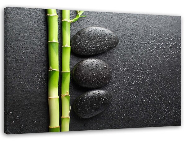 Obraz na plátne Bambus a zenové kamene na čiernom pozadí Rozmery: 60 x 40 cm